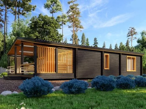 Проект Бостон