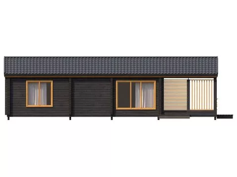 Проект Бостон