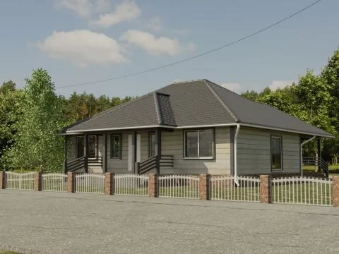 Проект Печников