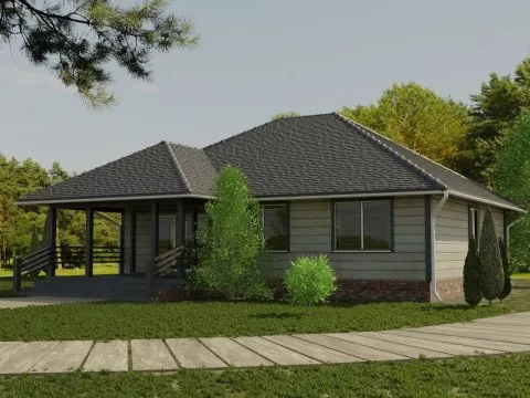 Проект Печников