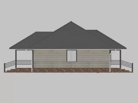 Проект Печников