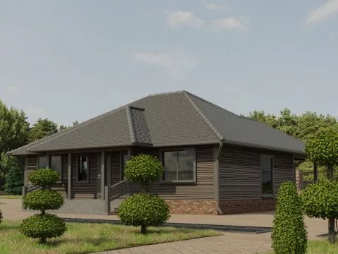 Проект Печников